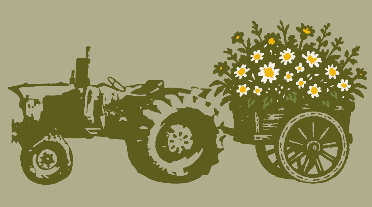 Floristeria Coronado